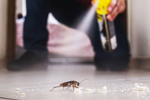 Best Best Pest Control Companies  in Mercer, PA